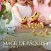 Lindt - Moulage LAPIN OR Edition Solidaire - Chocolat au Lait - Id al pour P ques 200g Lait Solidaire - Buy Online on GoSupps.com