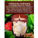 Cinnamon Ginger Blossom Candle - Soy Wax Aromatherapy Candle | Warm Winter & Fall Scent - Natural Wood Wick | Perfect Relaxing Gift for Women & Men - Buy Online on GoSupps.com