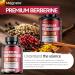 MEGNETA Premium Berberine HCl Complex with Cinnamon & Turmeric Heart Health Help Sugar Metabolism Balanced 60 Capsules 30-Day Supply - Buy Online on GoSupps.com