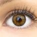 Glamlens Palermo Brown Braun + container |Very strongly covering natural brown contact lenses colored |Colored silicone hydrogel |1 pair (2 pieces) |Dia 14.00 |Without starch