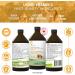 Vitamin C 250ml Immune System Support - Liquid Formula for Maximum Absorption - for Kids and Adults - Great Taste - Vegan - Non-GMO Gluten Free No Sugar Added - Made in Canada (Pack of 2) 250 ml (Pack of 2) - Buy Online on GoSupps.com