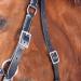 WALDHAUSEN Star Bitless Bridle for Warmbloods - Premium Black Horse Gear | Buy Internationally - Buy Online on GoSupps.com