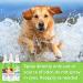 TropiClean Deodorizing Pet Spray Cologne - Lime & Coconut Scent - Natural Ingredients - Long Lasting - Made in USA - 8 oz - Buy Online on GoSupps.com