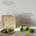 Dr.Cient Nail Soap & Pine Harvest Soap - 2-Pack | Natural Vegan Handmade Chemical-Free Bar Soaps - Buy Online on GoSupps.com