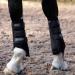 Masta Air-Flux Horse Brushing Boots - Training Neoprene Protective Wrap Boot for Horses with 3D AirMesh - Soft & Comfort Extremely Lightweight Legs Protectors - Set of 2 - Black Size Cob Cob Black - Buy Online on GoSupps.com