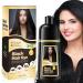 Black Hair Dye Shampoo - Instant Gray Hair Coverage | 3-in-1 Herbal Color Shampoo for Men & Women | Long Lasting 500ml - Buy Online on GoSupps.com