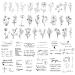 Lusofie 60 Sheets Temporary Tattoos  Realistic Semi Permanent Tattoo Fake Tattoos 30 sheets Inspirational Quotes Words Tattoos  30 sheets Wild Flower Ink Line Botanical Floral Leaf Tattoo Stickers for Women and Men