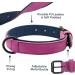 Didog Soft Padded Leather Dog Collar - Adjustable Durable Collar for Small to Large Dogs Purple - 33-40 cm - Buy Online on GoSupps.com
