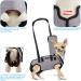 Ownpets Lifting Aid Dishes for Small Dogs | Adjustable Waterproof Dog Carrier Bag with Shoulder Strap - Buy Online on GoSupps.com