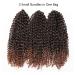 12 Inch Short Passion Twist Hair Marlybob Crochet Hair - 6 Bundles 12 Kinky Curly Crochet Hair for Black Women - Buy Online on GoSupps.com