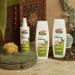 Palmer's Olive Oil Formula Shine Therapy Hair Care Set - Buy Online on GoSupps.com
