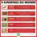 NUTRIG E - Ginseng 5 Strong - Fitness & Vitality - Reduces Fatigue Strengthens Natural Defenses Fights Different Stresses - 1 to 2 Takes/Day - 60 Tablets - 30/60 Days - Made in France - Buy Online on GoSupps.com