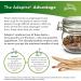 Terry Naturally Adaptra - 60 Capsules - Ashwagandha & Rhodiola Supplement for Stress Management & Energy Boost - Non-GMO, Gluten-Free - Buy Online on GoSupps.com