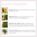 Camille Rose Rosemary Water Daily Mist & Rosemary Oil Hair & Scalp Drops Bundle for Strength and Hair Growth - Buy Online on GoSupps.com
