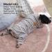 KYEESE Stretchy Dog Pajamas for Small Dogs - Striped 4 Legged Jumpsuit for Hair Shedding Cover - XL - Ivory Brown - Buy Online on GoSupps.com