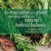 Nature's Answer Red Clover 900 mg - 90 Vegetarian Capsules | Natural Health Supplement - Buy Online on GoSupps.com