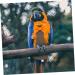 PopetPop Fly Bird Diapers - Reusable Cotton Pants for Pigeons Ducks & Parrots | Pet Bird Costume 20x11cm - Buy Online on GoSupps.com