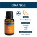 Airom Aromatherapy Essentials Gift Set - 3 Pack of 10 ml Therapeutic Grade Oils | Lavender Orange Peppermint - Perfect International Shipping - Buy Online on GoSupps.com