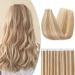 S-Noilite Tape Extensions Real Hair Gold Gold Brown/Blond Blond 12/613# Hair extension Real hair Extensions Tape in-10PCs/20 grams p Pack (30cm)