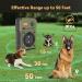 Bubbacare Anti-Bell Device for Dogs | Rechargeable Ultrasound Anti-Bark Device - 3 Modes 50 ft Range - Safe for Small Medium & Large Dogs - Buy Online on GoSupps.com