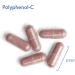 Allergy Research Group Polyphenol-C 500 - 90 Veg Capsules with Berry Polyphenols - Buy Online on GoSupps.com