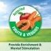 Kaytee Fiesta Parakeet Food - Nutritious Mix for Happy Parrots - Buy Online on GoSupps.com