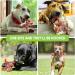 Indestructible Dog Chew Toys for Aggressive Chewers Large Breed Dog Toys for Boredom and Stimulating Nylon Dog Bones for Aggressive Chewers - Buy Online on GoSupps.com