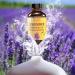 Buy Lavender Essential Oil 4 oz - 100% Pure & Therapeutic Grade by Mary Tylor Naturals for Aromatherapy - Buy Online on GoSupps.com