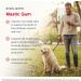 Jarrow Formulas Mastic Gum 60 Tablets â€“ Digestive Health & Wellness Supplement - Buy Online on GoSupps.com