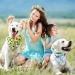 Floral Dog Bandana Set - 8 Pieces | Summer Spring Flower Pet Scarf | Adjustable Triangle Bib for Dogs and Cats | Cute Daisy Rose Pattern - Buy Online on GoSupps.com
