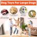 WoWBala Dog Toys for Aggressive Chewing | Durable Cake Stuffed Toys for Large & Medium Dogs - Tangerine - Buy Online on GoSupps.com