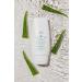Bio Aloe Vera Gel 99% - Fragrance-Free Moisturizer for Skin & Hair - Vegan - 2x150ml - Relieves Skin Complaints & Regenerates Skin - Buy Online on GoSupps.com