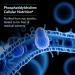 Nutricology Phosphatidyl Choline Supplement - Lecithin Capsules Digestive Enzymes for Liver Fat Digestion Support Choline Supplements for Fatty Liver 1540mg Softgels - 100 Count - Buy Online on GoSupps.com