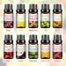 PHATOIL Top 10 Fruity Essential Oils Gift Set - Premium 10ML Fragrance Oil for Diffuser, Soap, Candle Making - Home, Office, Car Use - Buy Online on GoSupps.com