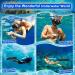 Professional 4-in-1 Snorkel Set for Adults | Adjustable Dive Flippers, Anti-Fog Mask, Dry Top Snorkel & Earplugs | Ideal for Snorkeling, Swimming & Scuba Diving | Black Large-X-Large - Buy Online on GoSupps.com