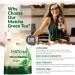 Matcha Green Tea Powder - 250g Double Size Pouch - 100 Servings - Vegan & Vegetarian - Culinary Grade - For Smoothies Drinks & Baking - Buy Online on GoSupps.com