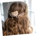ABOOFAN 1 Pair Bridal Hair Accessories Wedding Hair Accessories Fairy Jewelry for Women Hair Comb Wedding Hair Combs for Wedding Hair Combs for Women Decorative Light Luxury Hairpin Bride - Buy Online on GoSupps.com