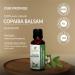 Copaiba Balsam Oil 100% Pure Essential Oil - Therapeutic Grade Natural & Undiluted - 0.51 Fl.Oz (15.1 ml) - International Shipping Available - Buy Online on GoSupps.com