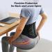 FREETOO Ergonomic Back Support Belt with 7 Metal Stays - Sciatica & Scoliosis Relief - Breathable Lumbar Support for Daily Work - Black XL - Buy Online on GoSupps.com