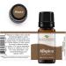 Plant Therapy Allspice Essential Oil 10 mL - 100% Pure Therapeutic Grade Undiluted for Aromatherapy & Wellness - Buy Online on GoSupps.com