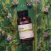 Nature's Sunshine Alfalfa Capsules - 100 Count - Buy Online on GoSupps.com
