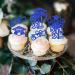 Rsstarxi 24 Pack 2024 Graduation Cupcake Toppers Glitter Congrats Grad 2024 Graduation Cap Diploma Cupcake Picks for Class of 2024 Graduation Theme Party Cake Decorations Blue - Buy Online on GoSupps.com