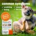HomeoPet Skin and Itch Support for Pets - 15ml - Buy Online on GoSupps.com