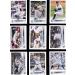 New York Yankees 2022 Topps Complete Mint Hand Collated 26 Card Team Set with Aaron Judge, Gerrit Cole, Rookie Cards - Buy Online on GoSupps.com