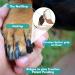 EIDEAL Pets | Nail-Grips for Dogs | Anti-slip Nail Covers for Dogs | Traction Grips for Dogs | Affordable Rubber Grips for Dogs for Hardwood Floors | Instant Relief for Dogs who Slip (M) | One pack (20 Grips) - Buy Online on GoSupps.com