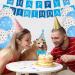Radsocken Dog Birthday Party Supplies Dog Birthday Bandana Set with Cute Doggie Birthday Hat Bandana Bow Tie Happy Birthday Banner Streamers Balloon Birthday Party Decorations for Dog Cat Pets - Buy Online on GoSupps.com
