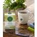 Traditional Medicinals Organic Fennel Herbal Tea - Digestive Health Support (Pack of 2, 32 Tea Bags) - Buy Online on GoSupps.com