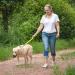 Vivaglory Short Dog Leash - 46 cm Neon Yellow Training Line for Medium & Large Dogs - Buy Online on GoSupps.com