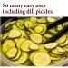 The Spice Way Dill Seed - 8 oz for Pickling, Pasta, Salads & Soups - Buy Online on GoSupps.com
