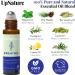 Breathe Essential Oil Roll On Blend - Allergy & Sinus Relief with Eucalyptus, Peppermint, Tea Tree & Lemon Essential Oils - Buy Online on GoSupps.com